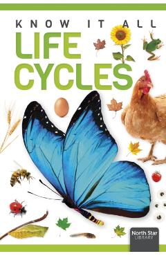 Life Cycles - Louise Nelson