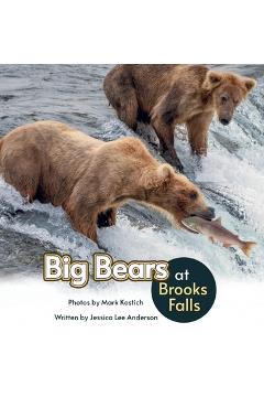 Big Bears at Brooks Falls - Jessica Lee Anderson