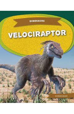 Velociraptor - Golriz Golkar