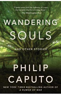 Wandering Souls: And Other Stories - Philip Caputo