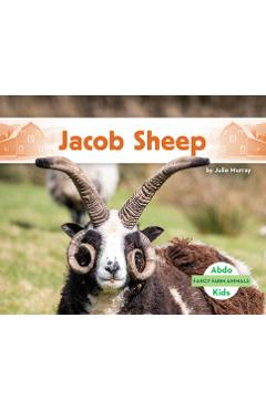 Jacob Sheep - Julie Murray
