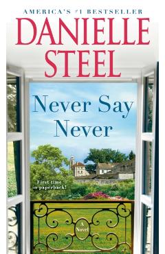 Never Say Never - Danielle Steel