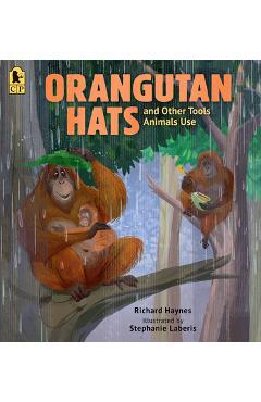 Orangutan Hats and Other Tools Animals Use - Richard Haynes