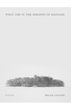 What God in the Kingdom of Bastards: Poems - Brian Gyamfi
