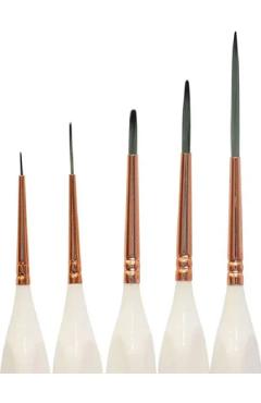 set pensule detalii + linere mont marte