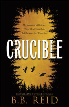 Crucible (Standard Edition) - B. B. Reid