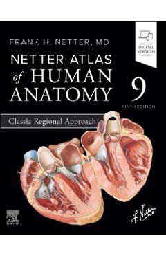 Netter Atlas of Human Anatomy: Classic Regional Approach - Frank H. Netter