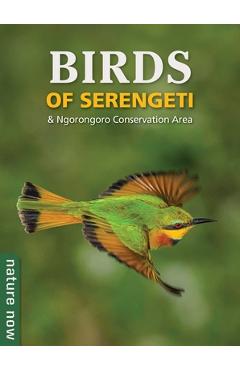 Birds of Serengeti & Ngorongoro Conservation Area - Jean Du Plessis