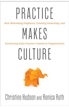 Practice Makes Culture: How Welcoming Elephants, Creating Ownership, and Facilitating Daily Practice Transform Organizations - Ronica Roth