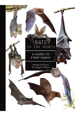 Bats of the World: A Guide to Every Family - Winifred Frick