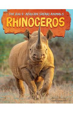 Rhinoceros