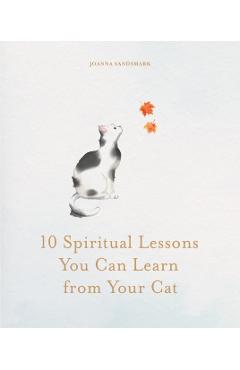 10 Spiritual Lessons You Can Learn from Your Cat - Joanna Sandsmark