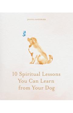 10 Spiritual Lessons You Can Learn from Your Dog - Joanna Sandsmark