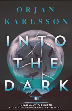 Into The Dark - Ørjan Karlsson - Imagine 1