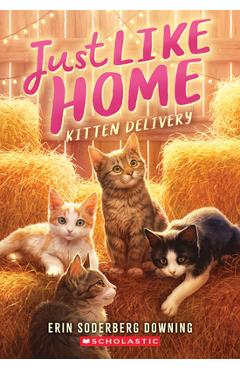 Kitten Delivery (Just Like Home, Book Two) - Erin Soderberg Downing