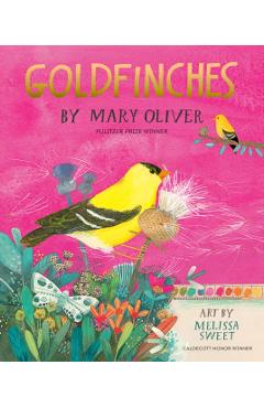 Goldfinches - Mary Oliver - Imagine 1