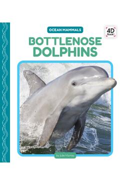 Bottlenose Dolphins - Julie Murray