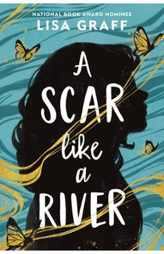 A Scar Like a River - Lisa Graff - Imagine 1