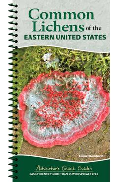 Common Lichens of the Eastern United States: Easily Identify More Than 55 Widespread Types - Tanner Barnharst