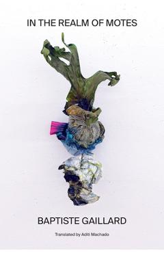 In the Realm of Motes - Baptiste Gaillard