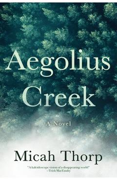 Aegolius Creek - Micah Thorp