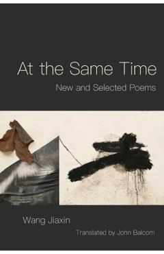 At the Same Time - Wang Jiaxin