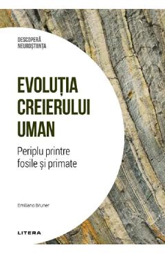 Descopera Neurostiinta. Evolutia creierului uman. Periplu printre fosile si primate - Emiliano Bruner