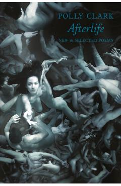 Afterlife - Polly Clark