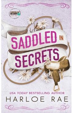 Saddled in Secrets: A protective bodyguard small town standalone romance - Harloe Rae