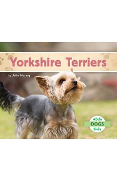 Yorkshire Terriers - Julie Murray