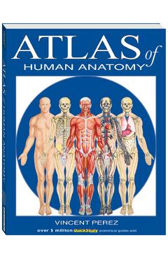 Atlas of the Human Anatomy: A Quickstudy Reference - Vincent Perez