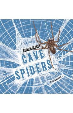 Cave Spiders - Lisa J. Amstutz - Imagine 1
