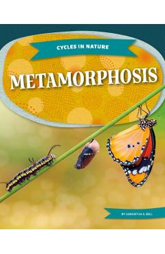 Metamorphosis - Samantha S. Bell - Imagine 1