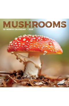 Mushrooms 2026 7 X 7 Mini Wall Calendar -