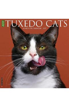 Tuxedo Cats 2026 12 X 12 Wall Calendar -