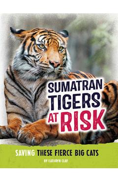 Sumatran Tigers at Risk: Saving These Fierce Big Cats - Kathryn Clay