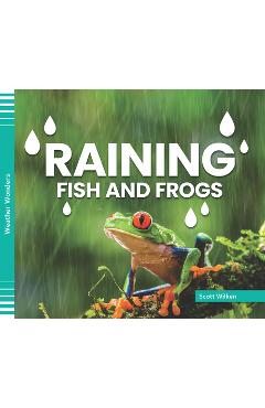 Raining Fish and Frogs - Scott Wilken