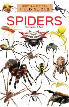 Spiders - Samantha S. Bell - Imagine 1