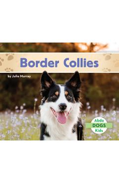 Border Collies