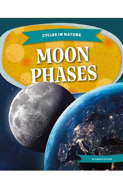 Moon Phases - Golriz Golkar