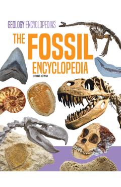 Fossil Encyclopedia - Miles Herman - Imagine 1