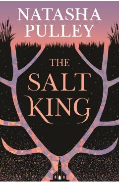 The Salt King - Natasha Pulley