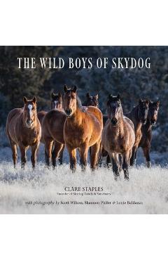 The Wild Boys of Skydog - Clare Staples