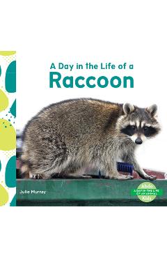 Day in the Life of a Raccoon - Julie Murray