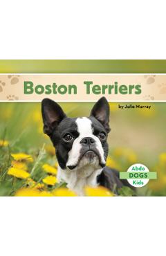 Boston Terriers - Julie Murray