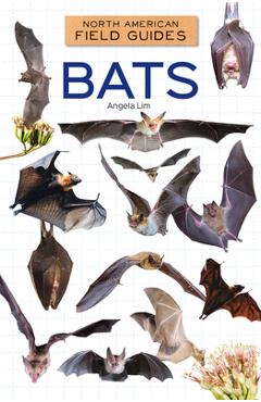 Bats - Angela Lim