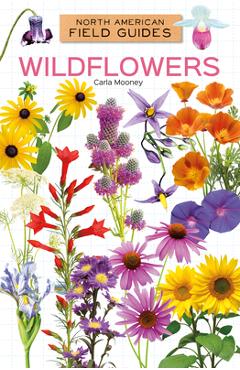 Wildflowers - Carla Mooney
