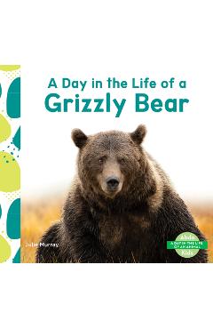 Day in the Life of a Grizzly Bear - Julie Murray