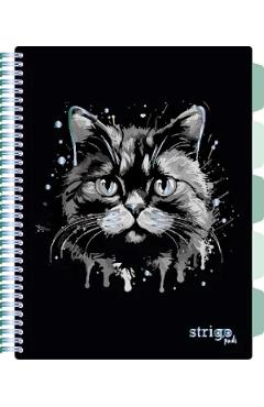 Aceasta este imaginea corespunzatoare acestui obiect