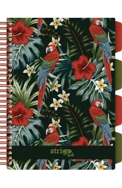 Caiet matematica cu spirala si separatoare: Tropical
